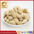 Raw Cashew Nut Kernels with Export Quality Ww320